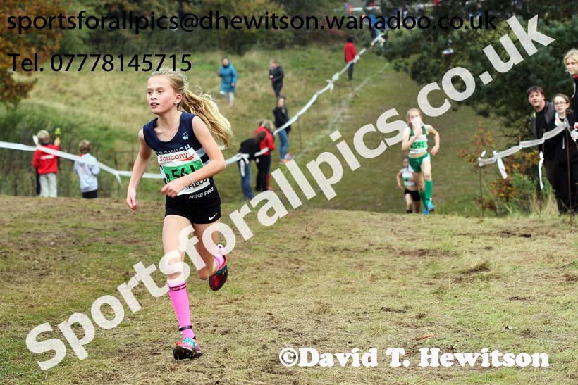Girls under-13s, National Cross Country Relays, Berry Park, Mansfield. Photo: David T. Hewitson/Sports for All Pics